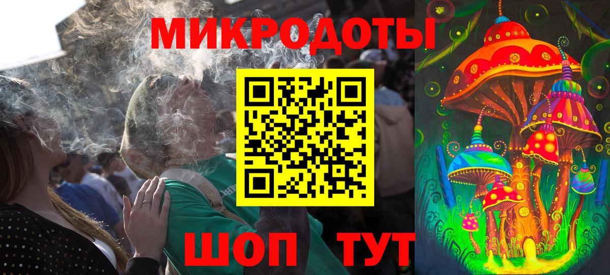Галлюциногенные грибы Psilocybine cubensis Коряжма