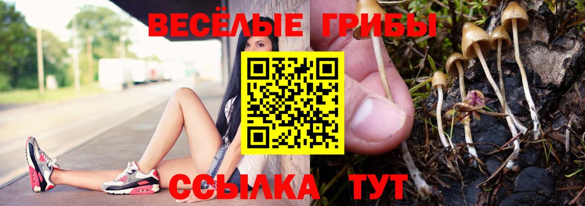 Коряжма  Галлюциногенные грибы GOLDEN TEACHER  Вход с VPN 